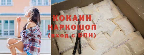 мдпв Ладушкин