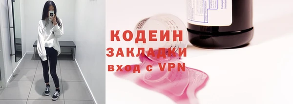 мдпв Ладушкин