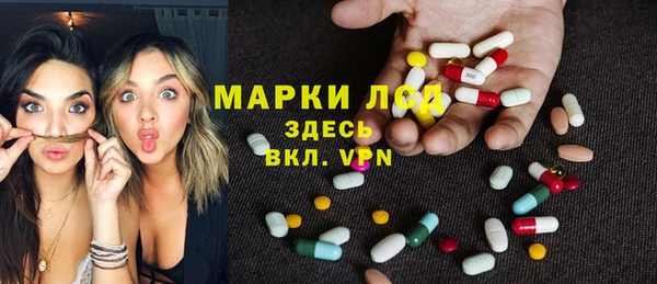 мдпв Ладушкин