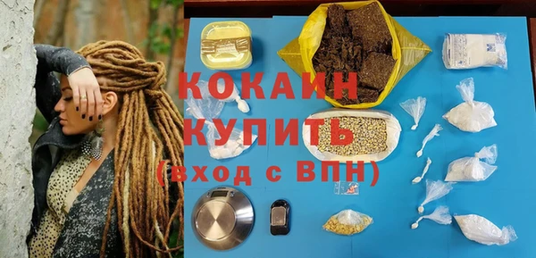 сатива Лагань