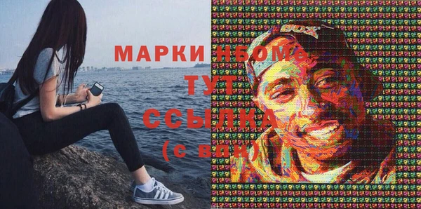 мдпв Ладушкин