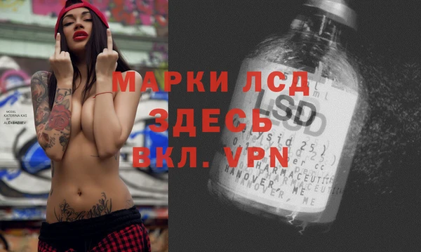мдпв Ладушкин