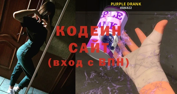 мдпв Ладушкин