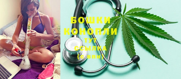 сатива Лагань