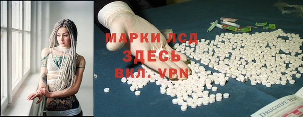 мдпв Ладушкин