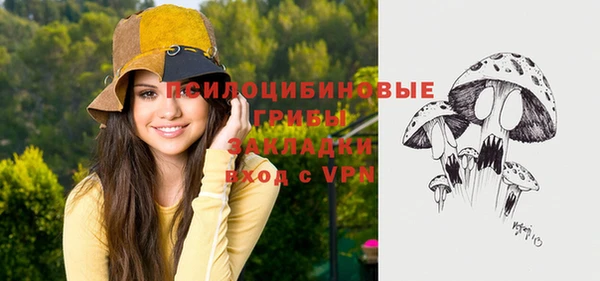 мдпв Ладушкин