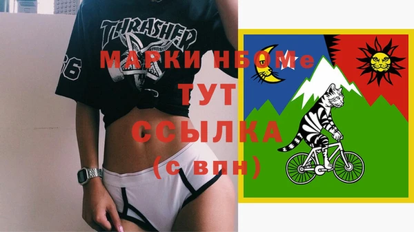мдпв Ладушкин