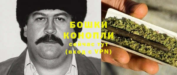 мдпв Ладушкин