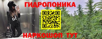 дмт Канаш