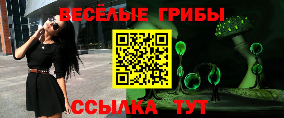 Псилоцибиновые грибы Cubensis  Галлюциногенные грибы Magic Shrooms  Назарово  купить наркоту  Вход с VPN 